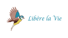 logo bien-être